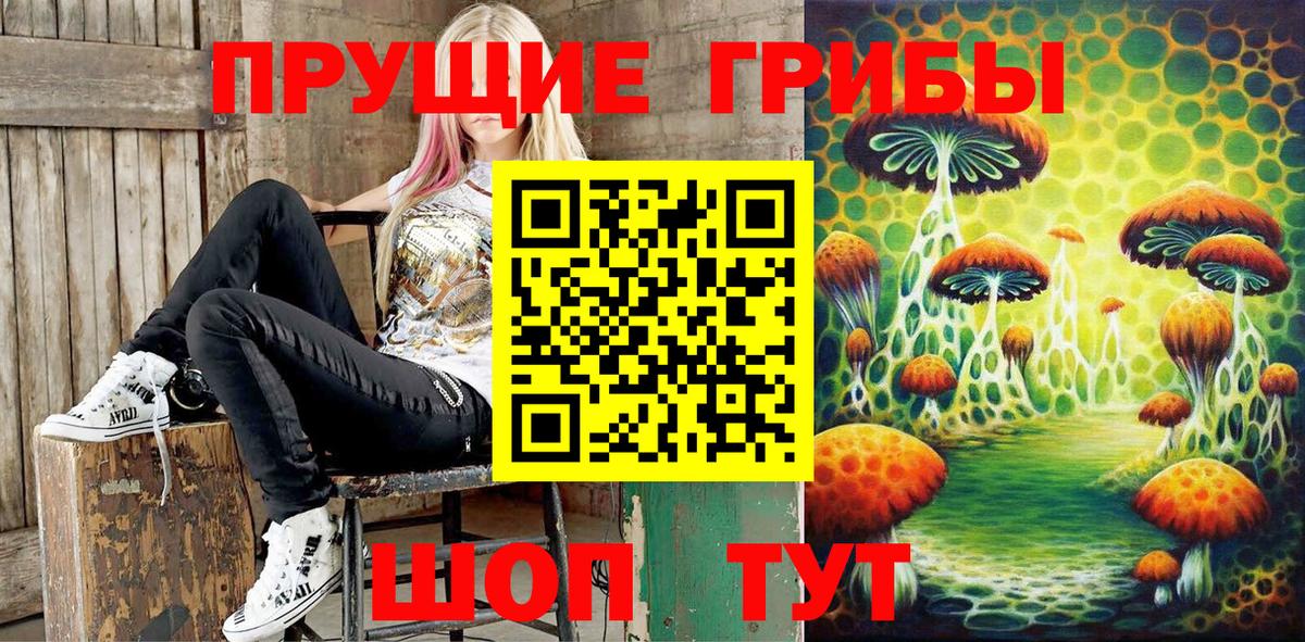 Псилоцибиновые грибы мицелий  Вход с VPN  Псилоцибиновые грибы мицелий  Егорьевск 