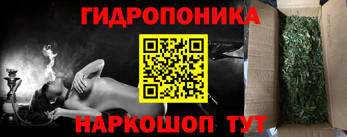 Бошки марихуана гибрид  Каннабис планчик  Егорьевск  Вход с VPN 